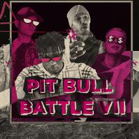 Pit Bull Battle VII