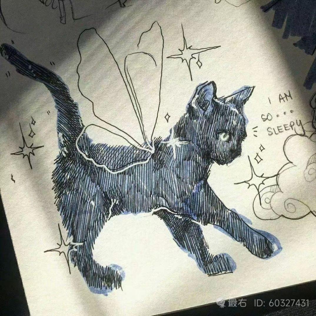 最美的期待钢琴版封面