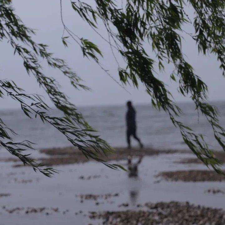 遗憾是会开花的痛 - 冷漠的名字封面
