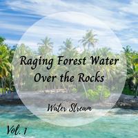 Water Stream: Raging Forest Water Over the Rocks Vol. 1