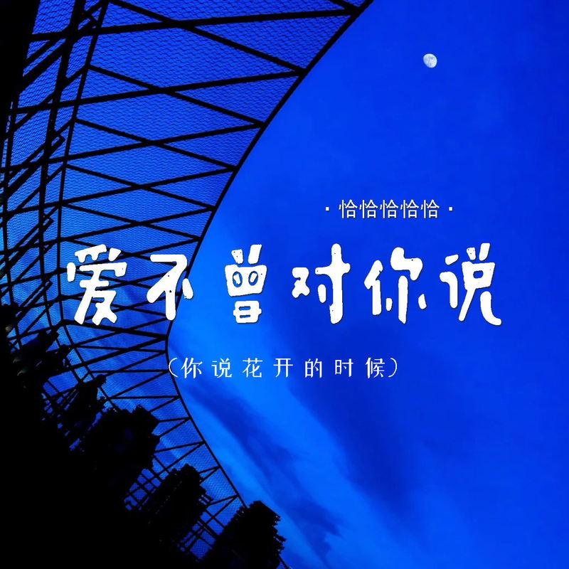 爱不曾对你说 (你说花开的时候) (伴奏) - 恰恰恰恰恰封面