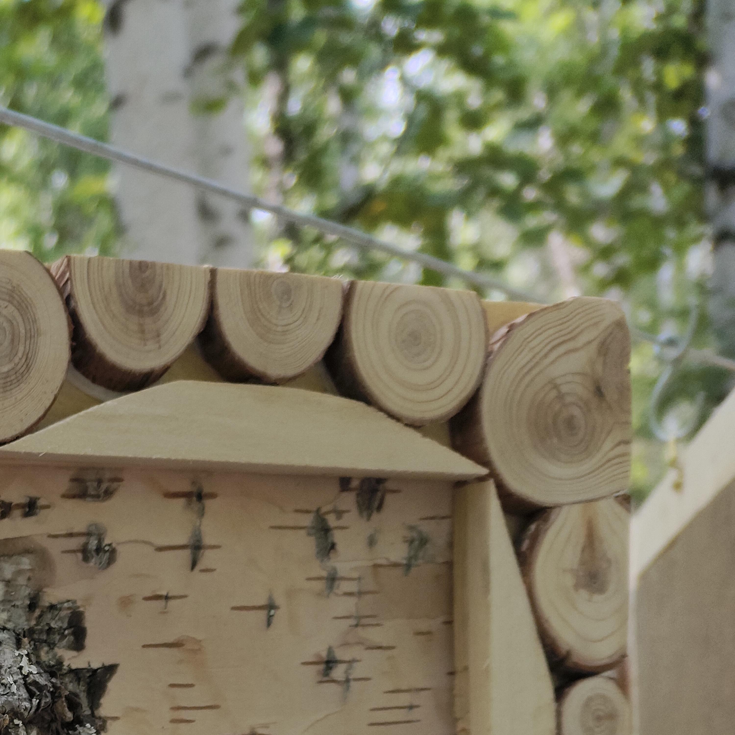 生活要乐在其中