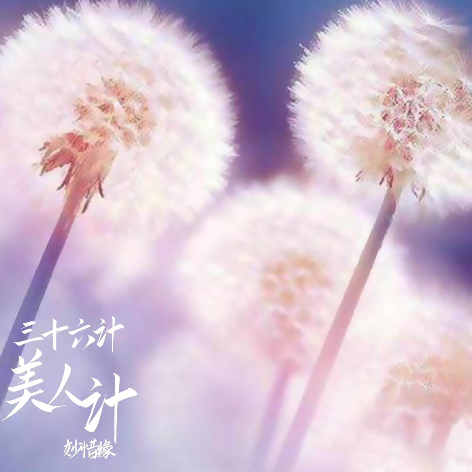 三十六计美人计 (伴奏)封面