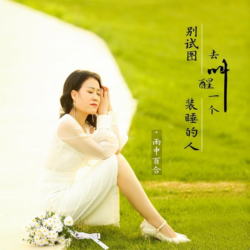 别试图去叫醒一个装睡的人 (伴奏)封面