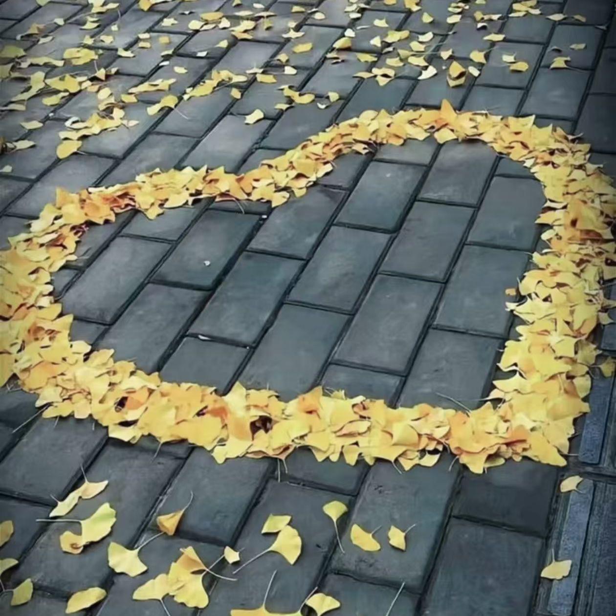 敷衍爱意封面