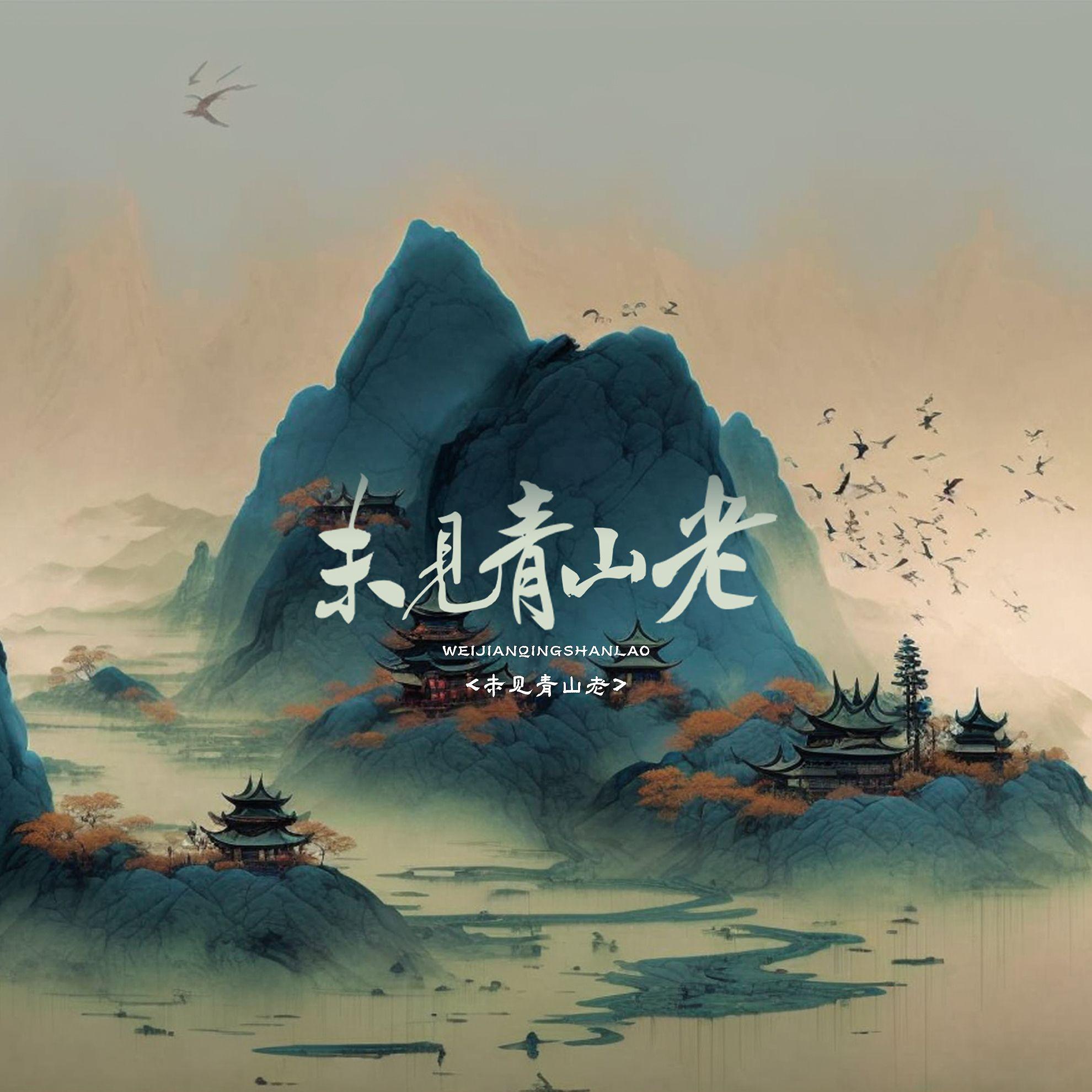未见青山老封面