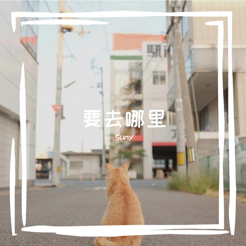 要去哪里 - suny封面