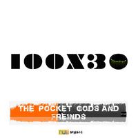 The Pocket Gods and Friends 100 X 30