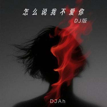 怎么说我不爱你(DJAh)伴奏封面