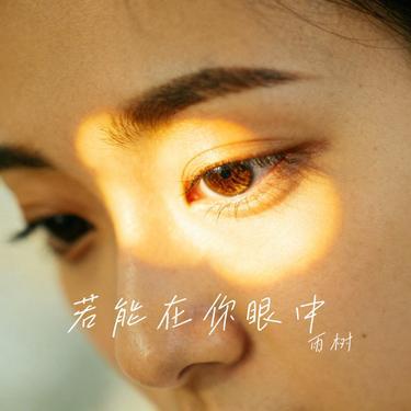 若能在你眼中 (Cover 刘宇宁)封面