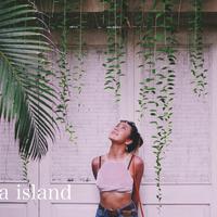 Ola island资料,Ola island最新歌曲,Ola islandMV视频,Ola island音乐专辑,Ola island好听的歌