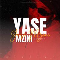 Yase Mzini