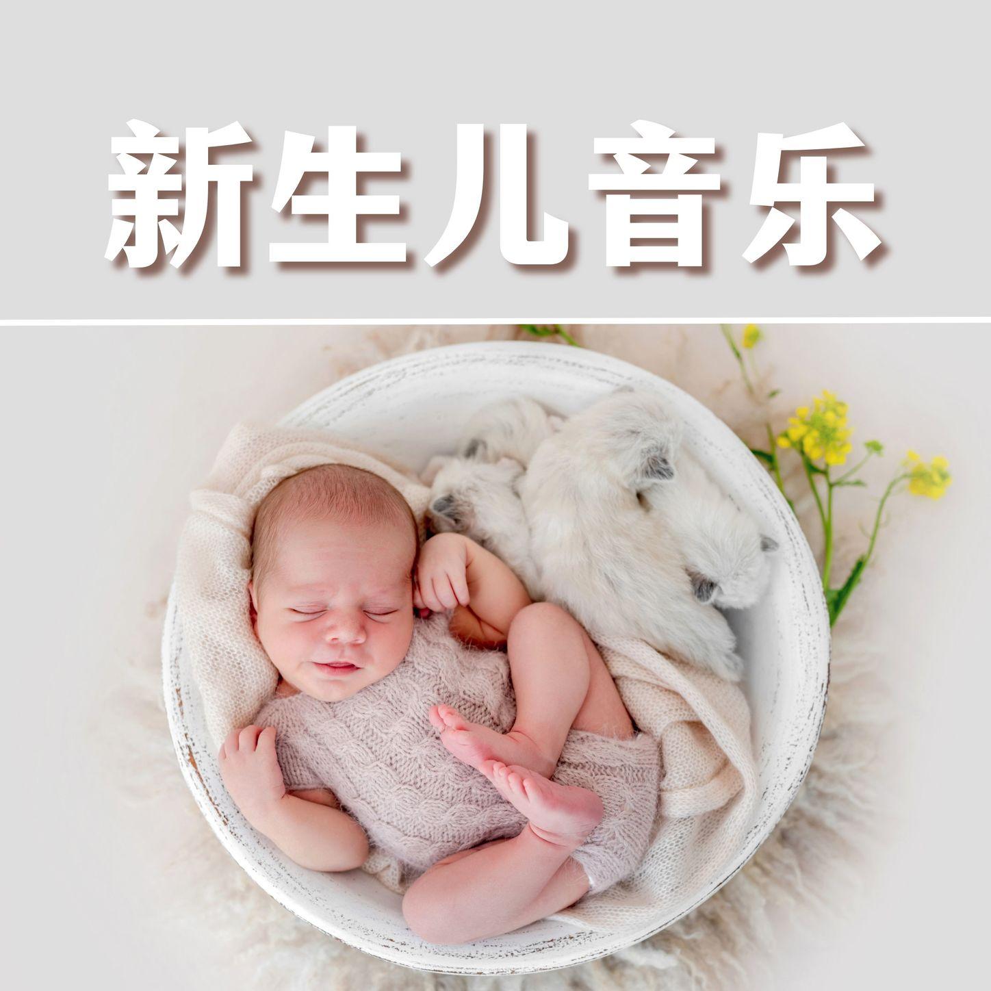 让你宝贝安静的音乐封面