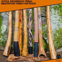 Joyful Didgeridoo Tribal Meditation Tunes For Peace