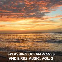 Splashing Ocean Waves and Birds Music, Vol. 3