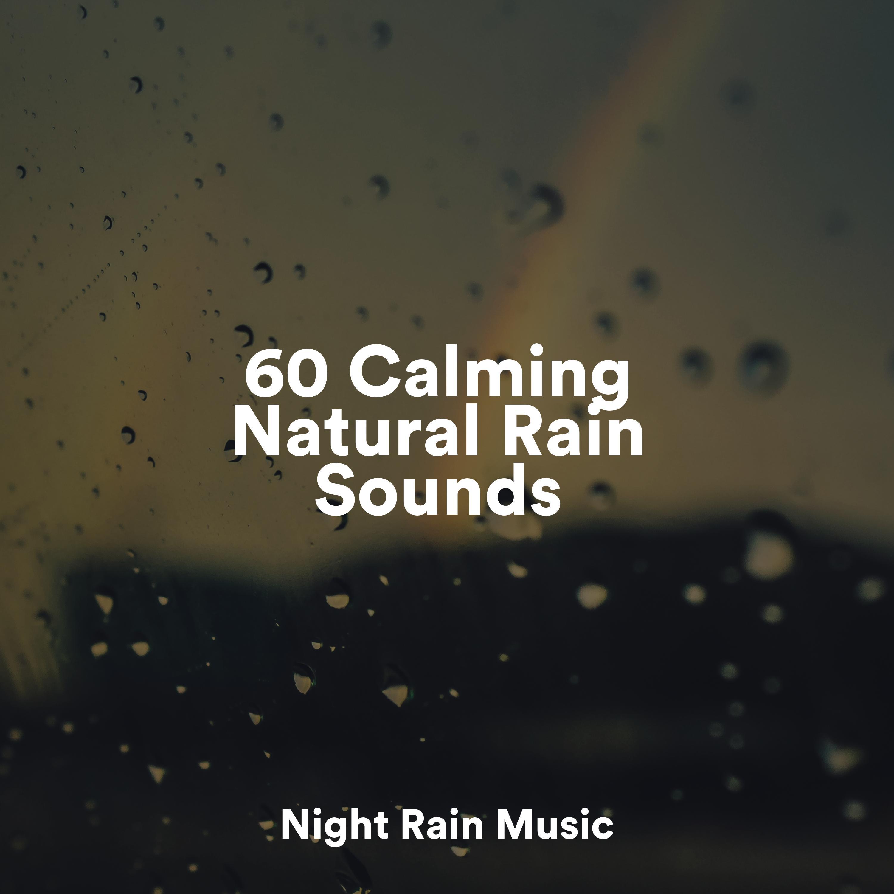 60 Calming Natural Rain Sounds Sound of Rain 专辑 网易云音乐