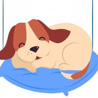 Musique Calmante Pour Chiens