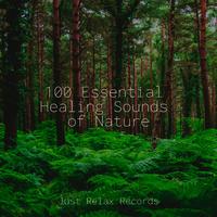 100 Essential Healing Sounds of Nature