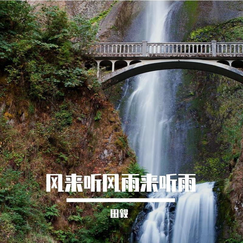 风来听风雨来听雨封面