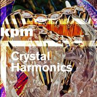 Ocean Moon资料,Ocean Moon最新歌曲,Ocean MoonMV视频,Ocean Moon音乐专辑,Ocean Moon好听的歌