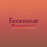 Enormous Bimuscular