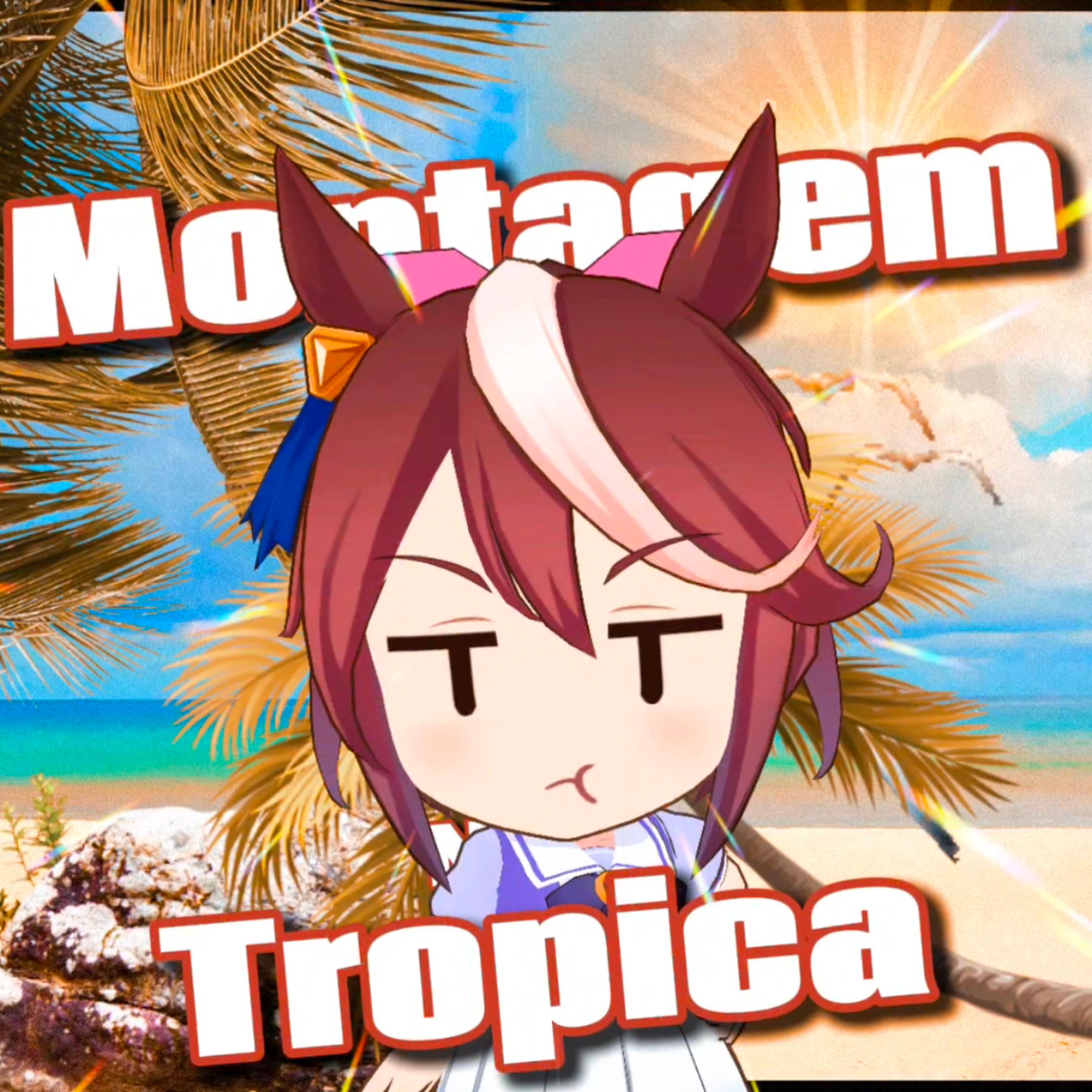【哈基米funk】Montagem Nada Tropica（原曲不使用）