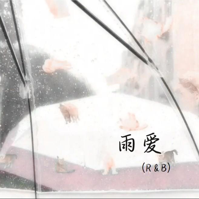雨爱（R&B）封面