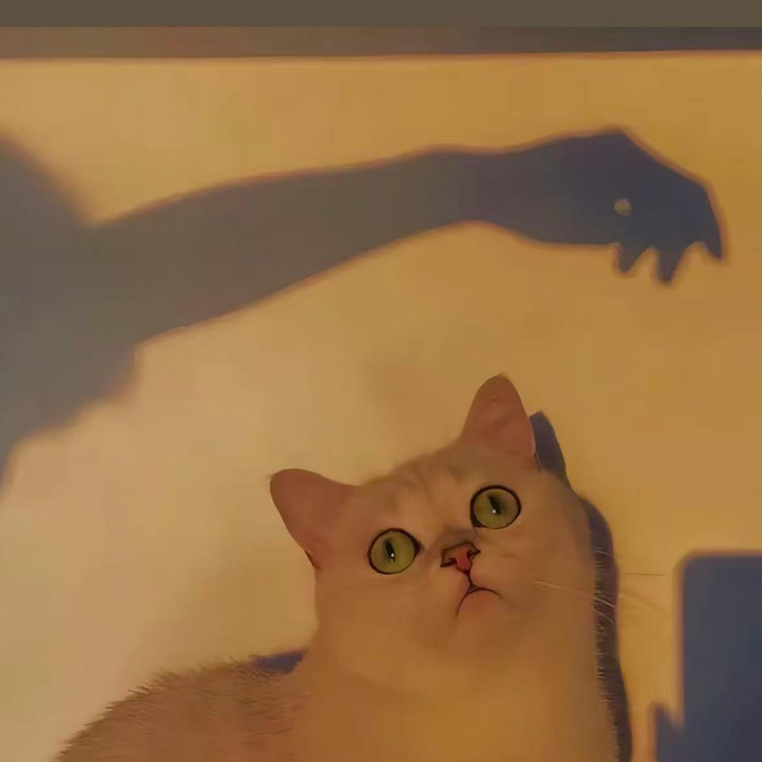 只怕我自己会爱上你