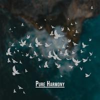 Pure Harmony: Deep Relaxation and Wellbeing