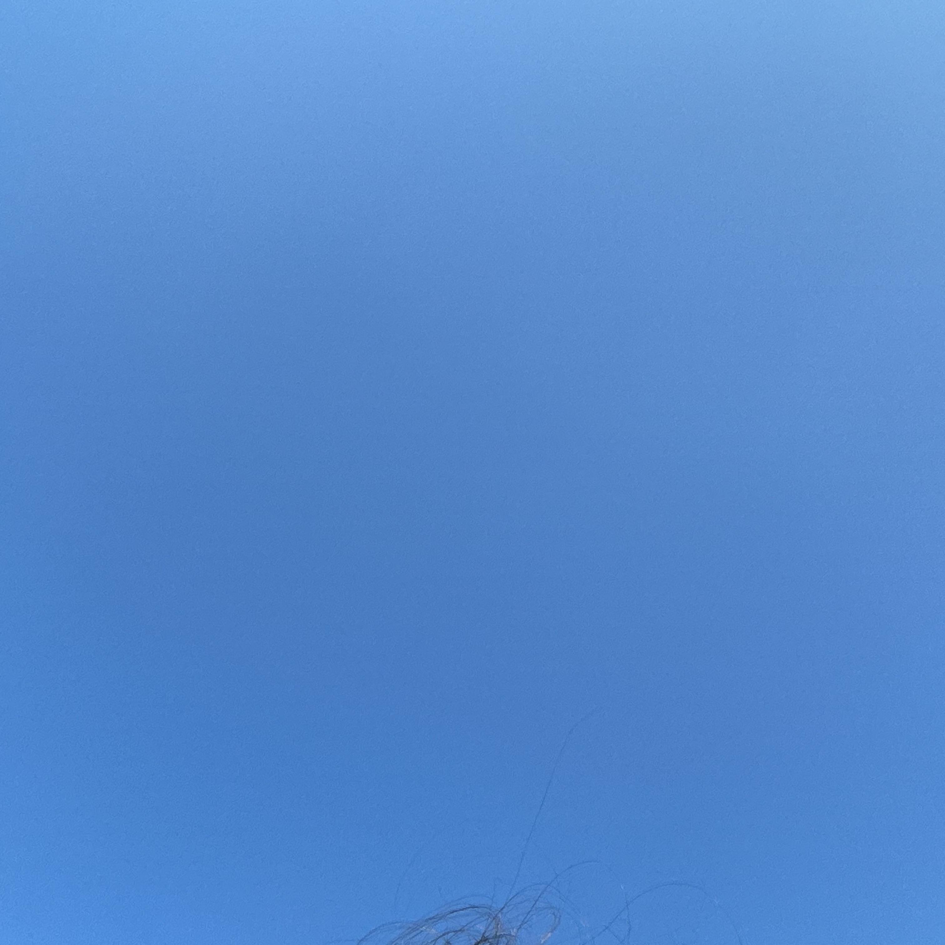 爱过才错过封面