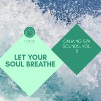 Let Your Soul Breathe - Calming Spa Sounds, Vol. 3