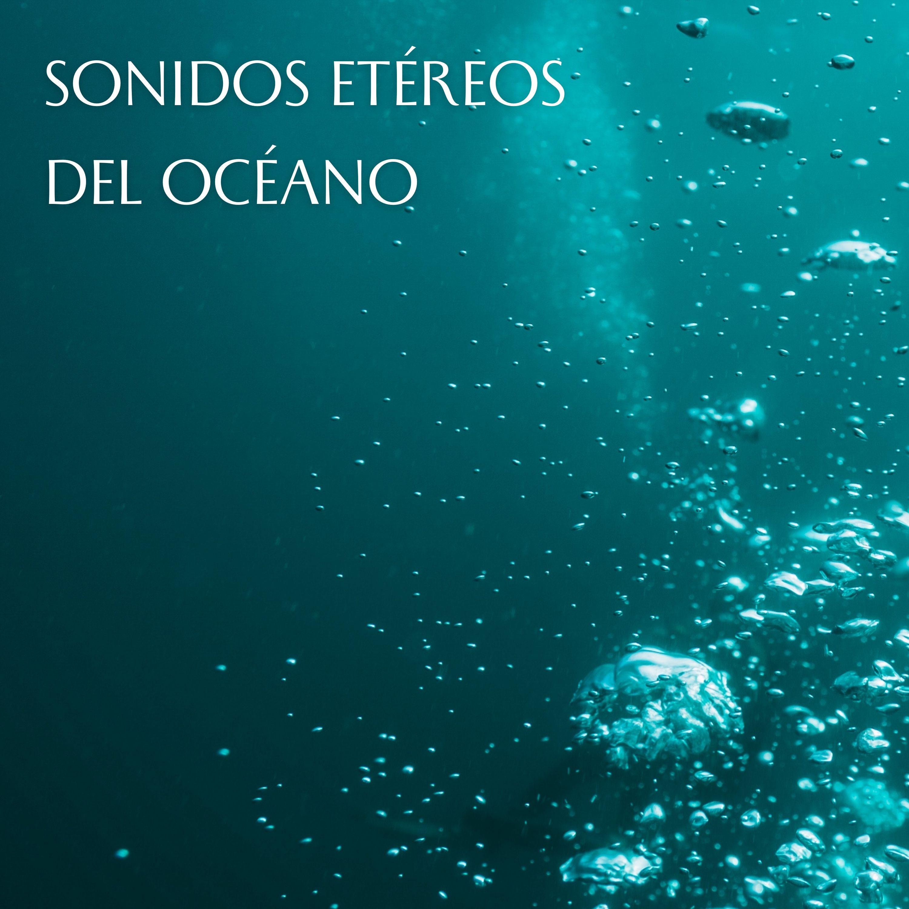 Oscilaciones Oceánicas_Resplandor de las olas del océano_Sonidos Etéreos Del Océano | 在线播放_Oscilaciones Oceánicas歌词_Oscilaciones Oceánicas下载 | 网易云音乐
