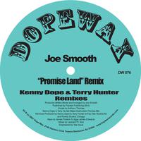 Promise Land (Kenny **** & Terry Hunter Mixes)