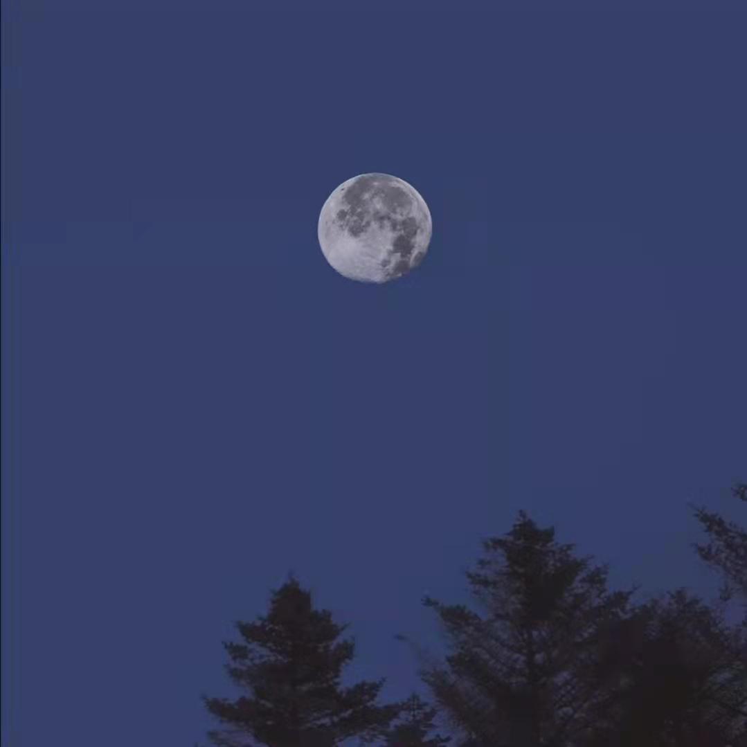 飞向月球（Cover:蒋先贵）（翻自 蒋先贵）