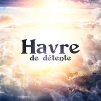 Havre de détente - Nature mélodique de l'âme, Massage pour le corps, Rythmes aux méditations, Préservation équilibre et harmonie, Ouvrez le chakra du coeur