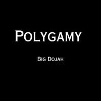 Polygamy