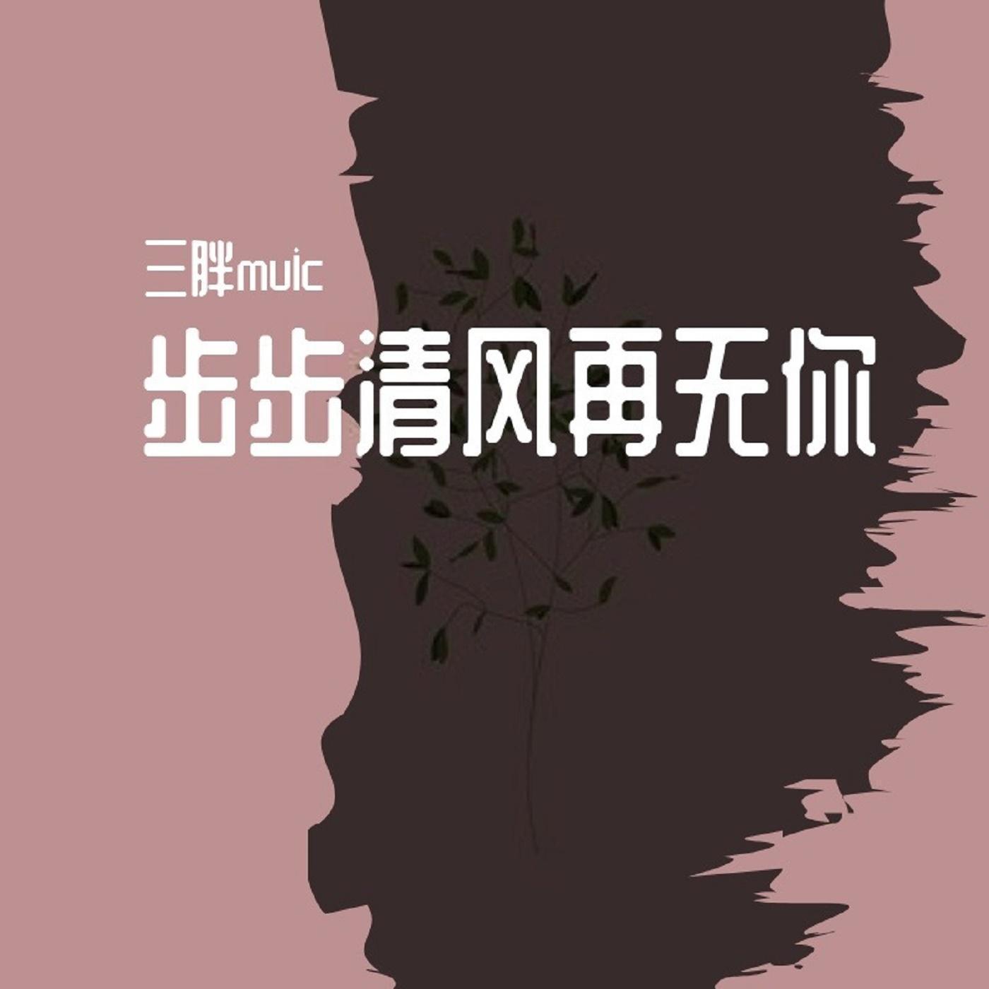 步步清风再无你封面