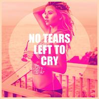 No Tears Left to Cry