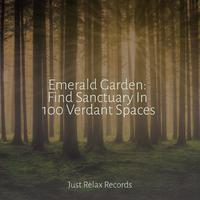 Emerald Garden: Find Sanctuary In 100 Verdant Spaces