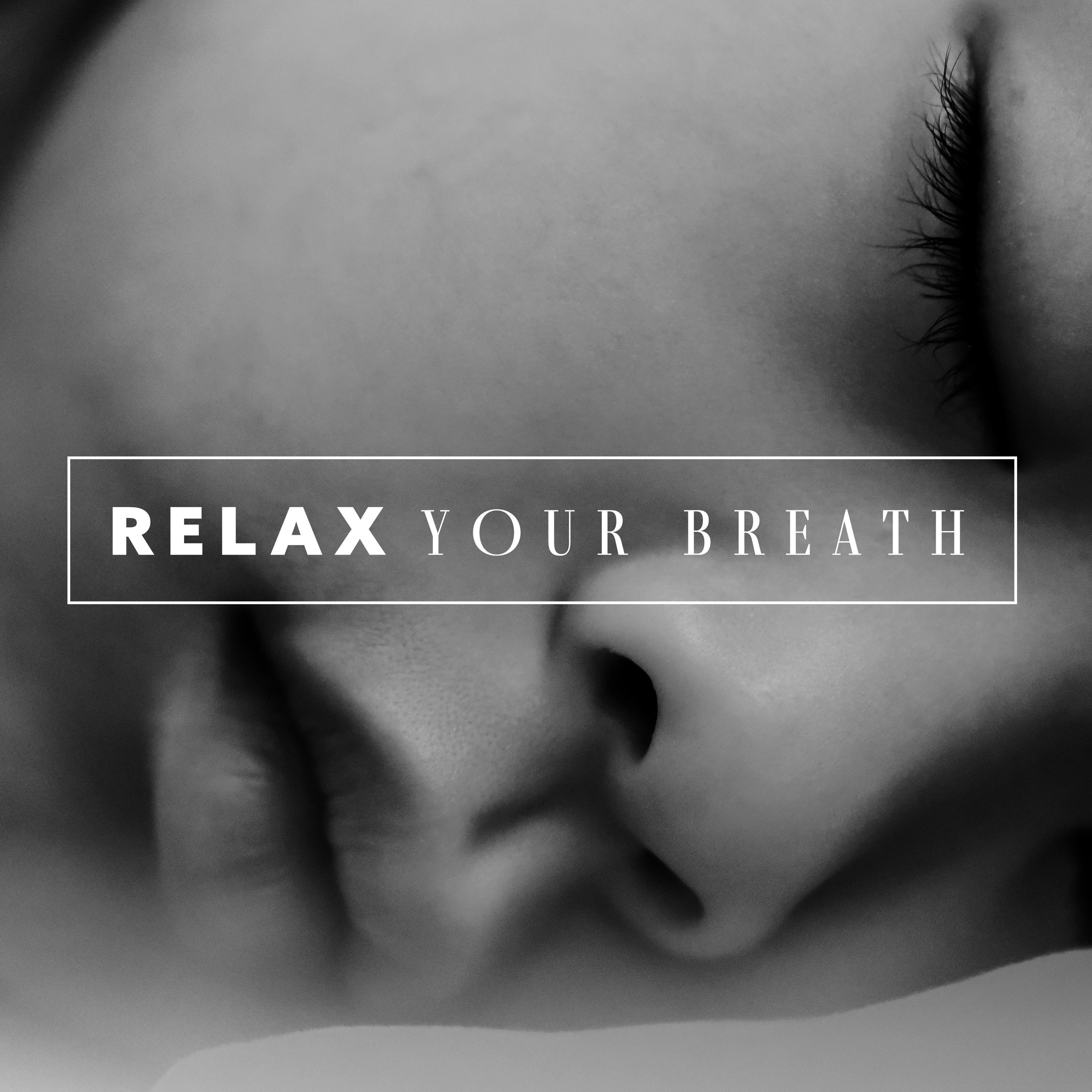 Stress Free_Soothing Music Collection_Relax Your Breath (Calm Music for Relaxation Before Bed, Warm Sleep, Comfortable and Drowsy Emotions) | 在线播放_Stress Free歌词_Stress Free下载 | 网易云音乐