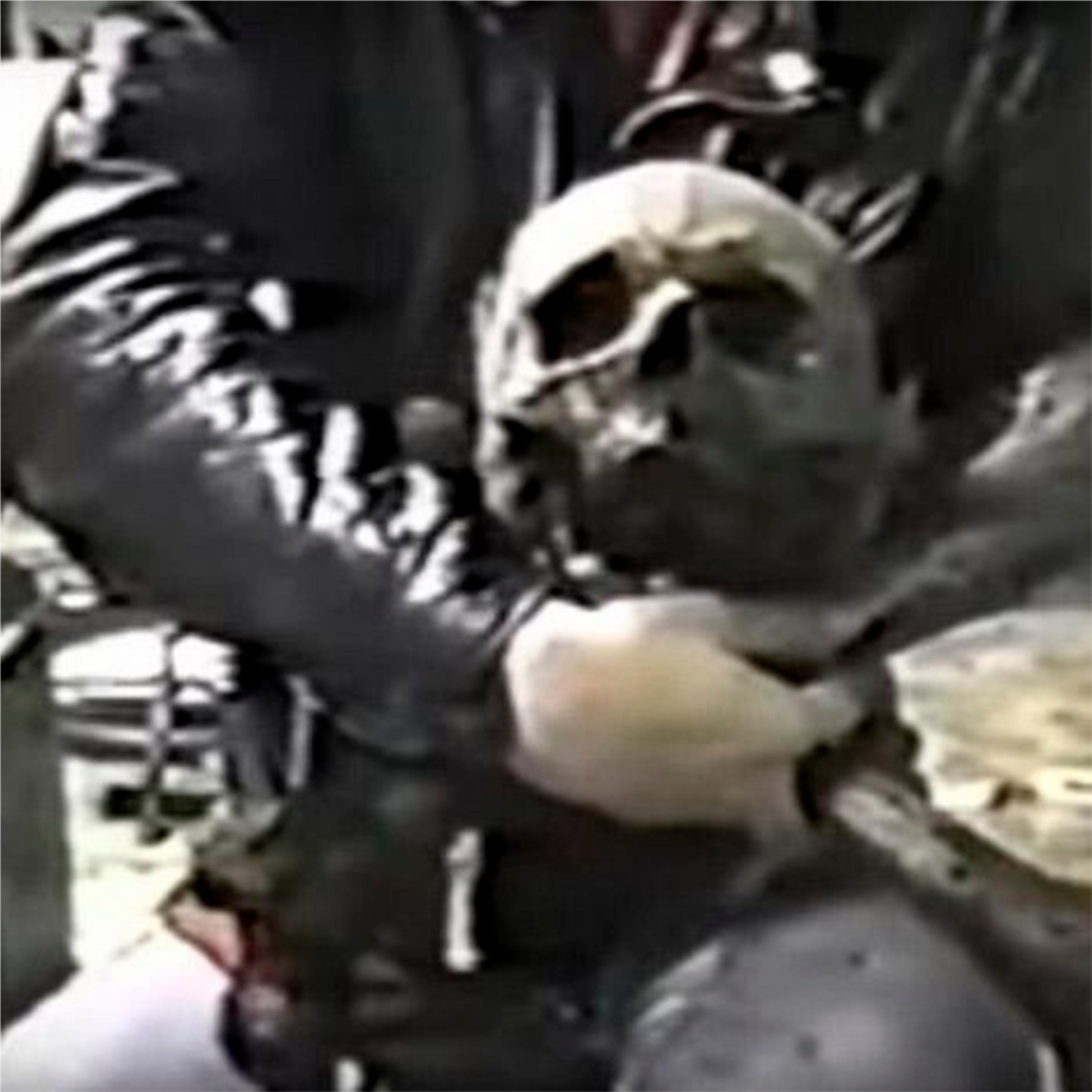 THE ILLEST (feat. GeeOhGee & CAMO MANE)