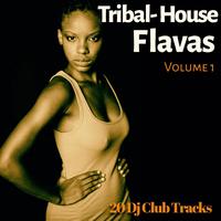 Tribal House Flavas, Vol. 1 (20 DJ Club Tracks)