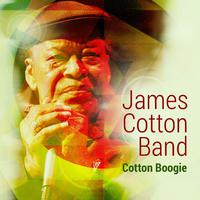 Cotton Boogie