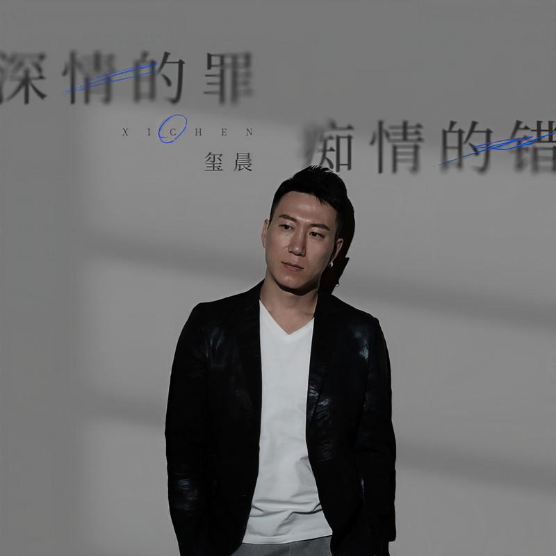 深情的罪 痴情的错 (DJ九零版)封面