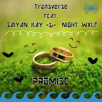 Promise (feat. Night Wxlf & Saiyan Kay)