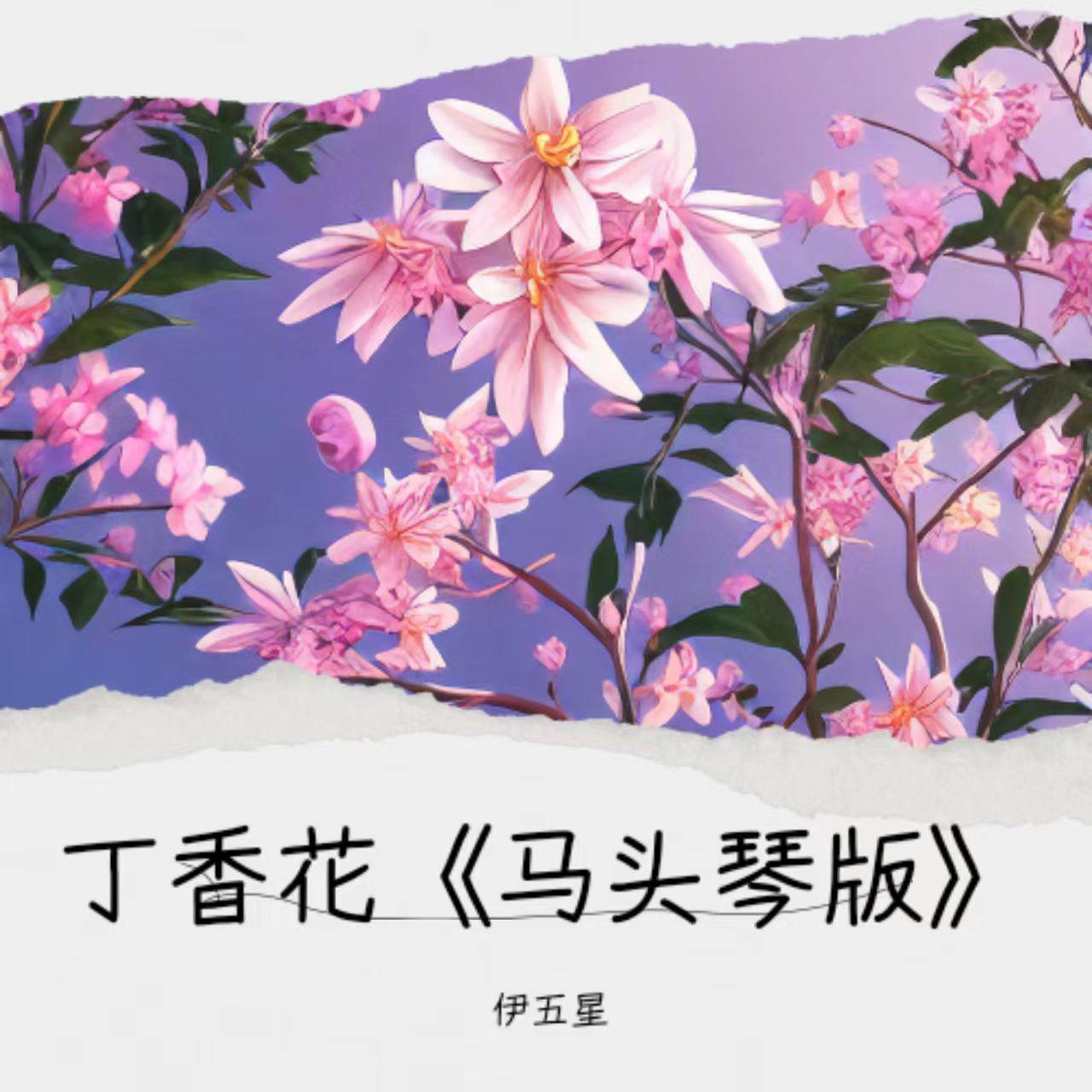 丁香花《马头琴版》封面