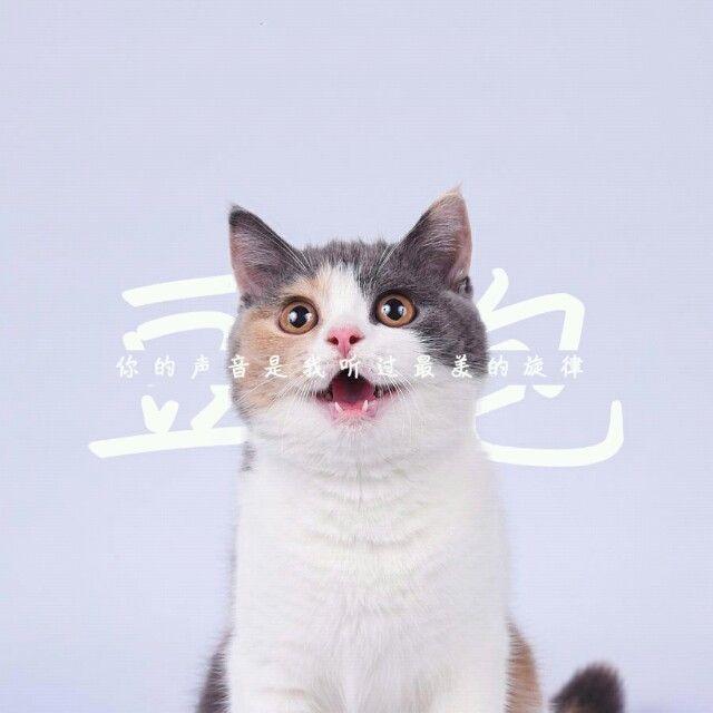 毁人不倦封面