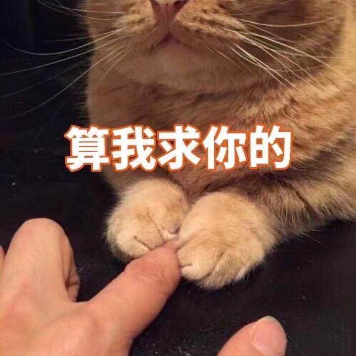 王牌冤家封面