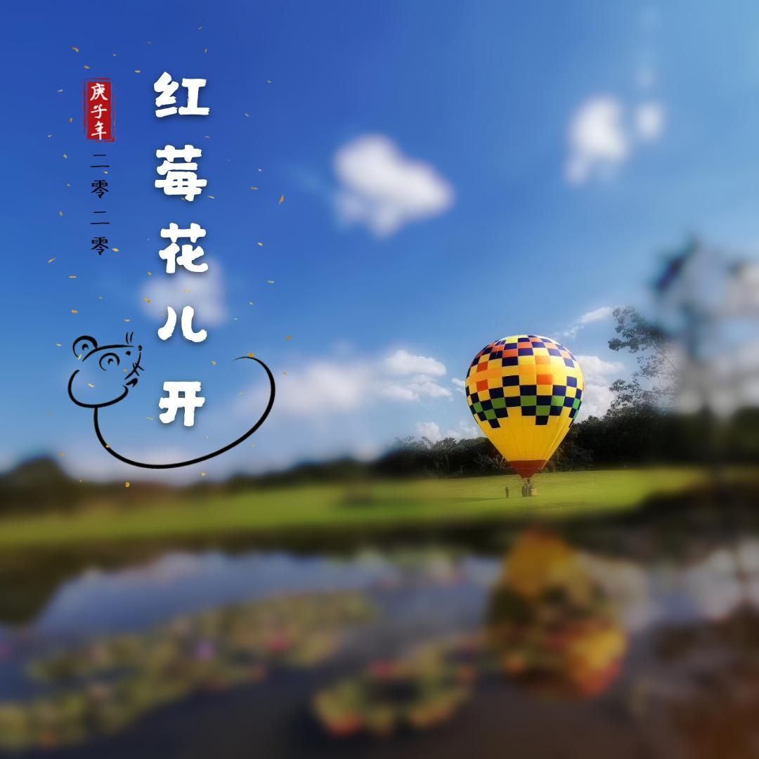 你是人间的四月天(李宇春版)封面