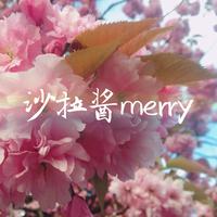【沙拉】时光洪流
